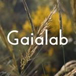 Gaialab